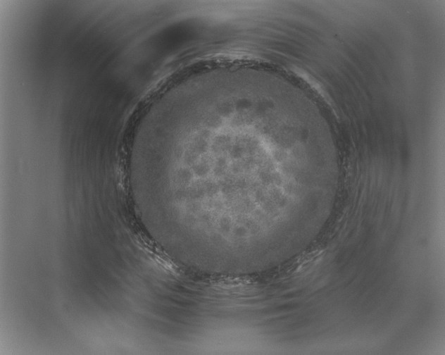 X0000073840823200608101227