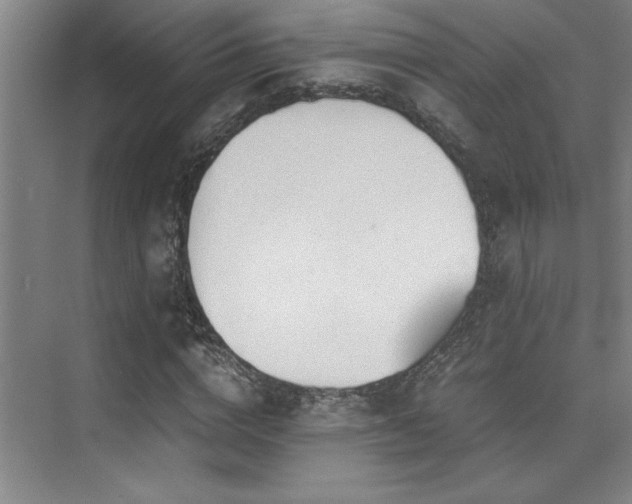 X0000073840824200608101227