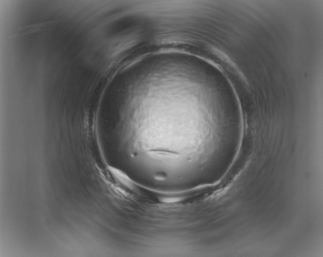 X0000073840825200608101227