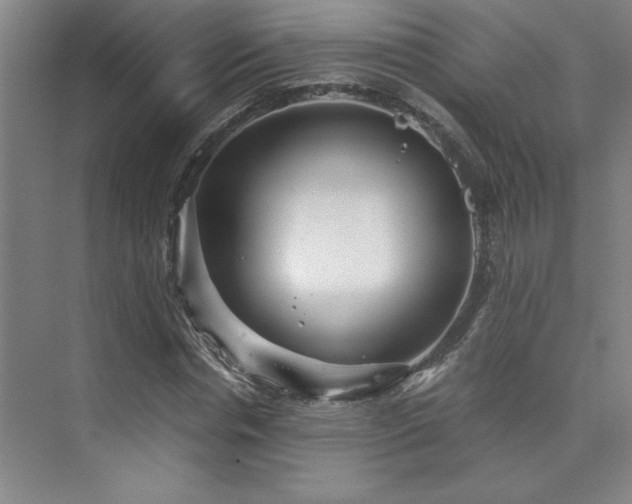 X0000073840826200608101227