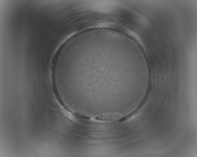 X0000073840827200608101227