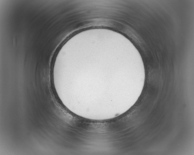 X0000073840836200608101227