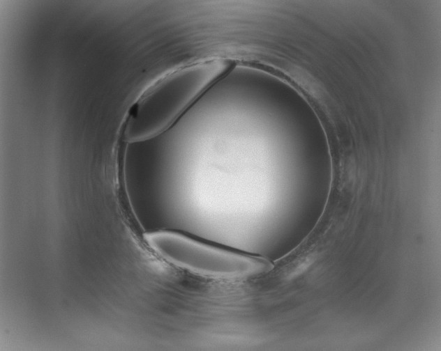 X0000073840838200608101227