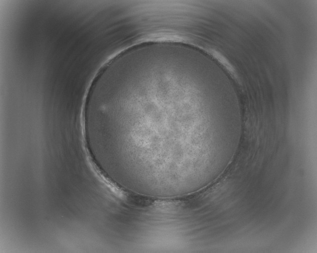 X0000073840840200608101227