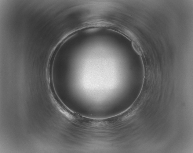 X0000073840843200608101227