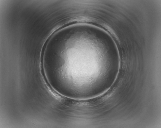 X0000073840845200608101227