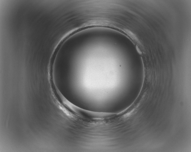 X0000073840846200608101227