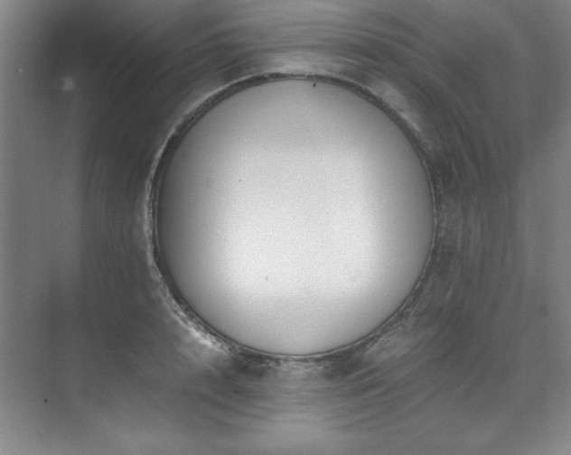 X0000073840848200608101227