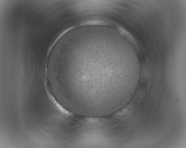 X0000073840852200608101227