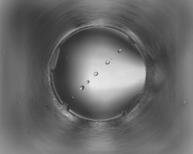 X0000073840854200608101227