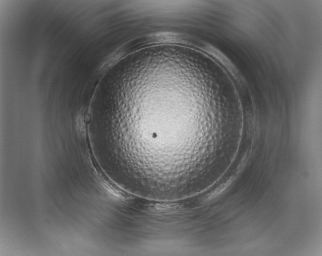 X0000073840857200608101228