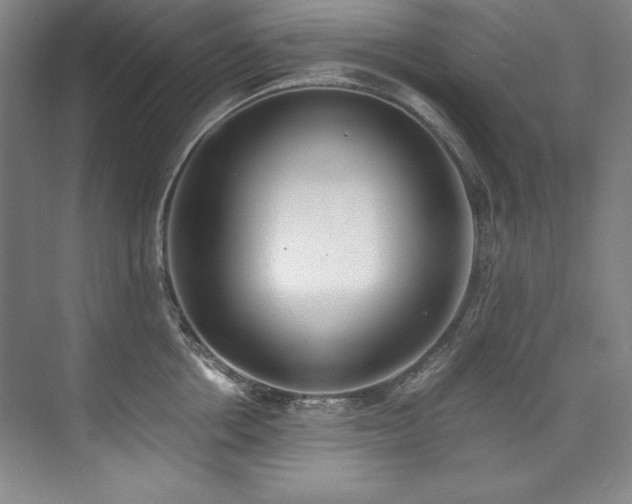 X0000073840858200608101228