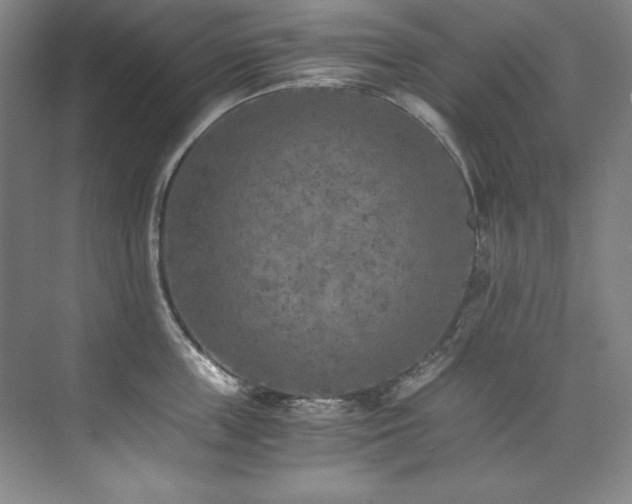 X0000073840859200608101228