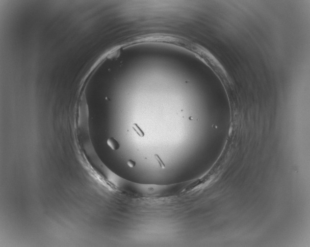 X0000073840860200608101228