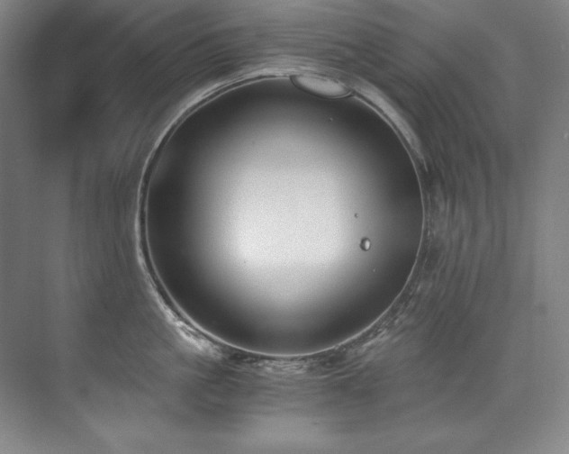 X0000073840861200608101228