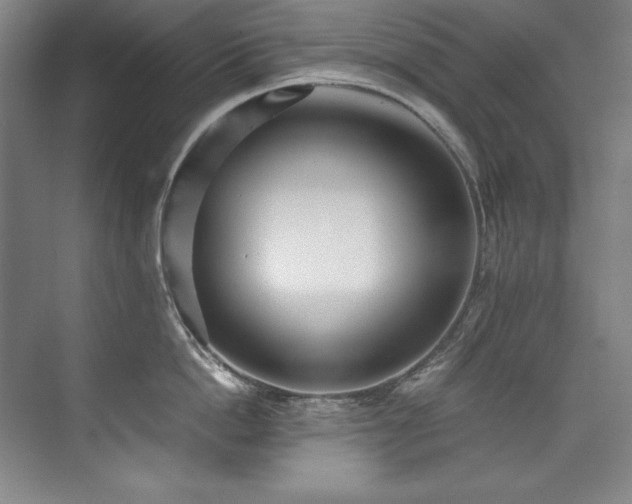 X0000073840862200608101228