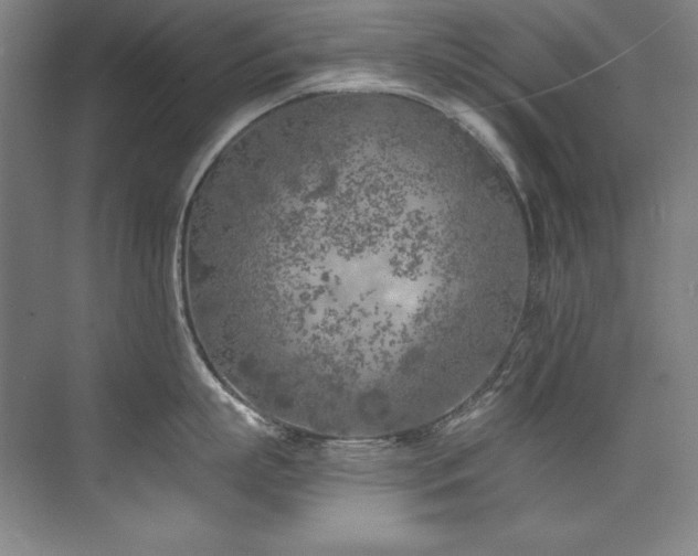 X0000073840863200608101228