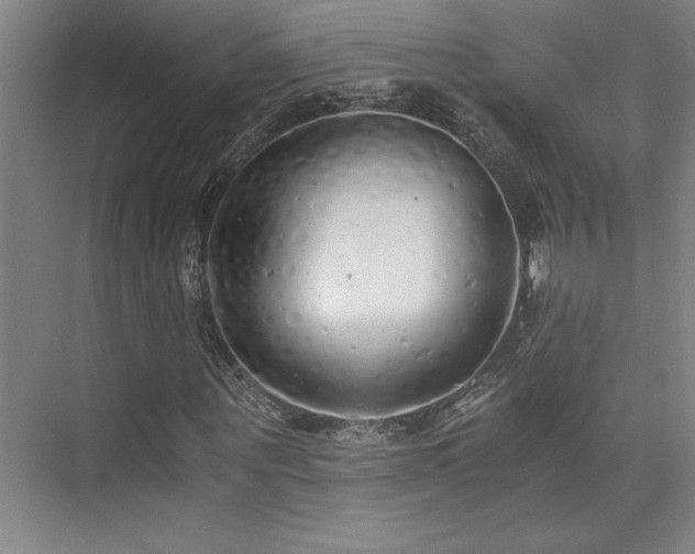 X0000073840867200608101227