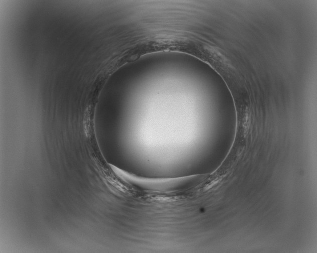 X0000073840868200608101227