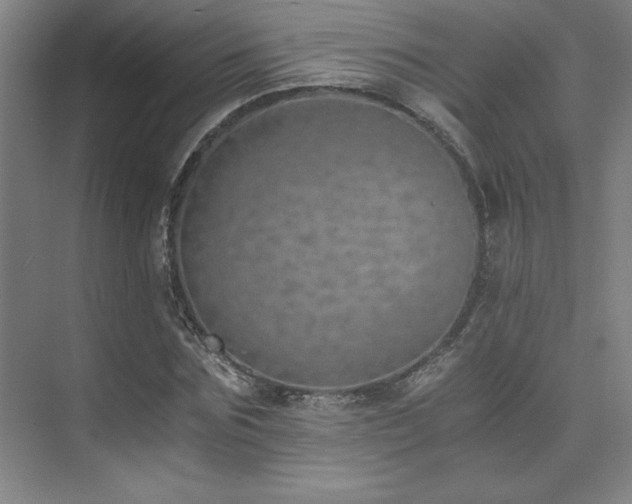 X0000073840875200608101227