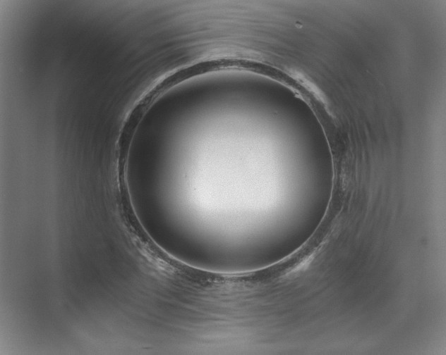 X0000073840877200608101227