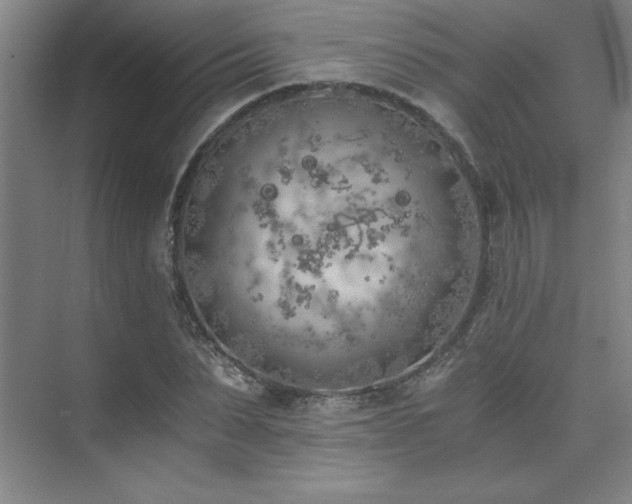 X0000073840879200608101227