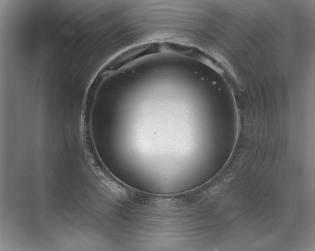 X0000073840880200608101227