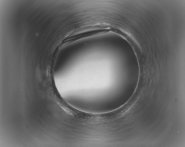 X0000073840881200608101227