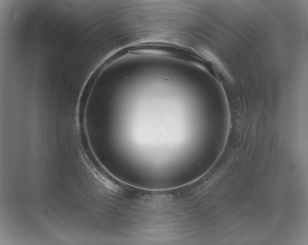X0000073840884200608101226