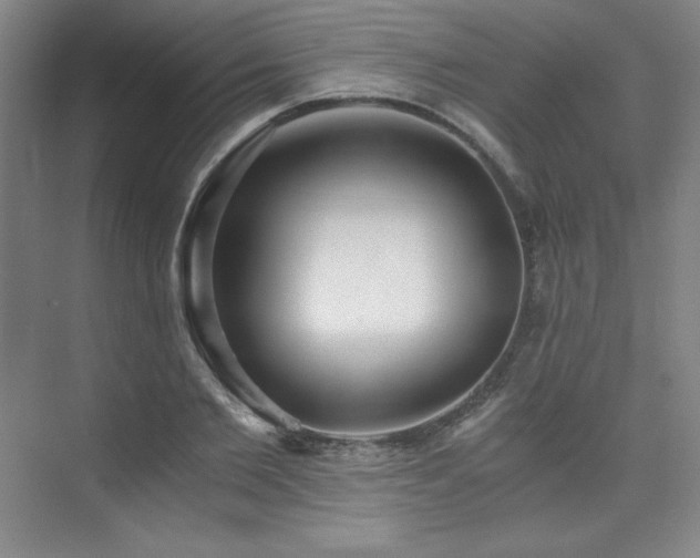 X0000073840885200608101226