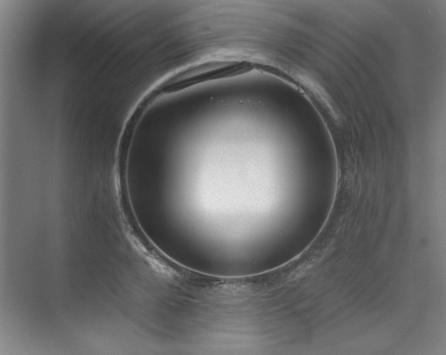 X0000073840888200608101226