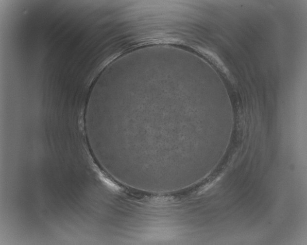 X0000073840889200608101226