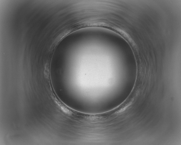 X0000073840897200608101226