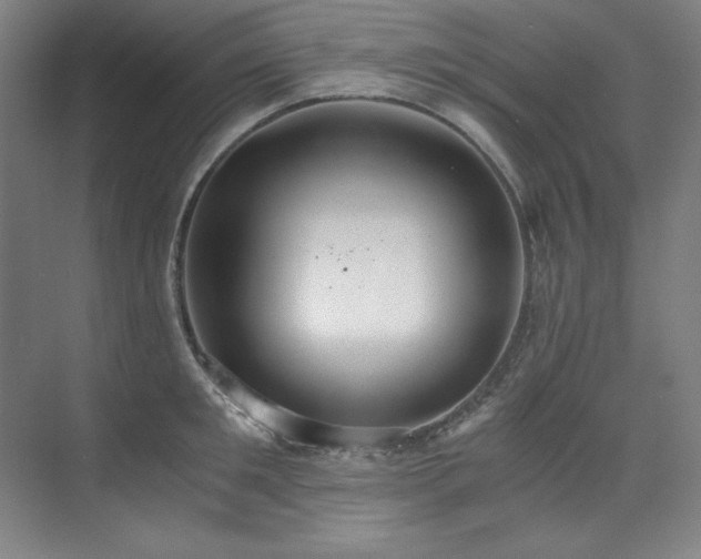 X0000073840901200608101226