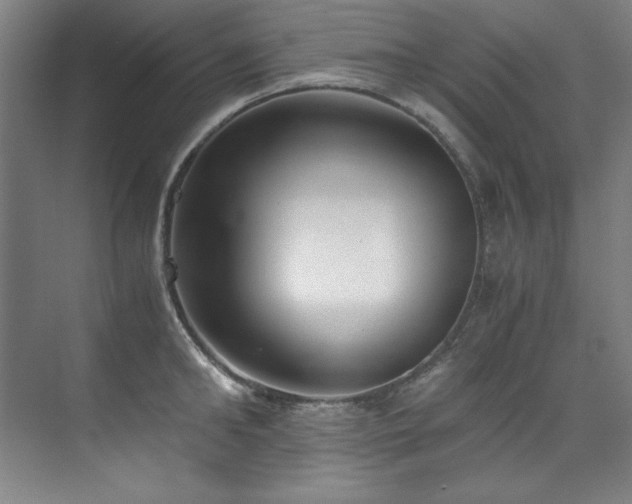 X0000073840902200608101226