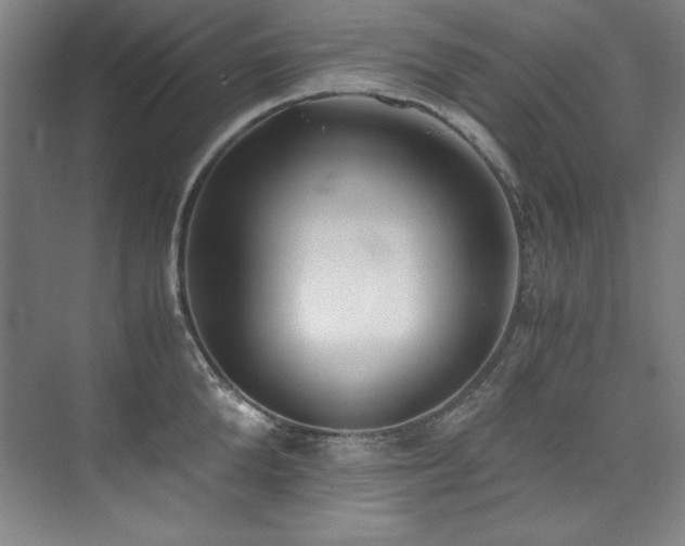 X0000073840904200608101226
