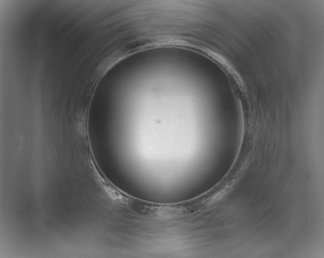 X0000073840905200608101226