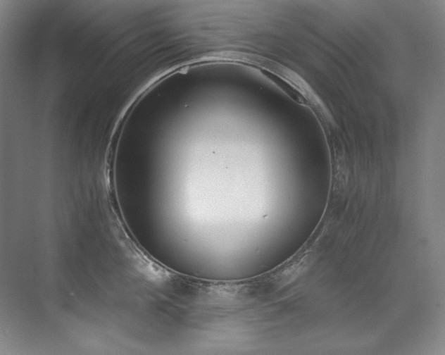 X0000073840908200608101226