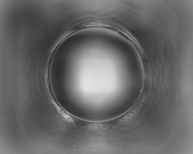 X0000073840909200608101226