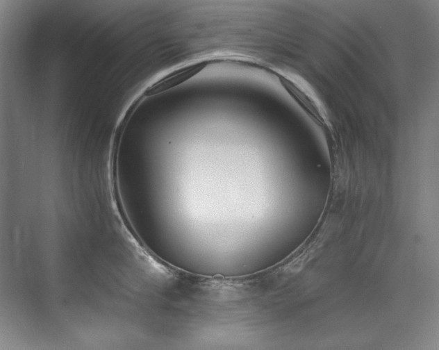X0000073840910200608101226