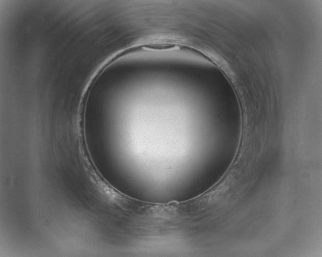 X0000073840912200608101226