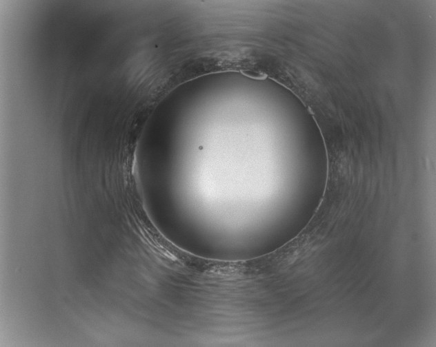 X0000073840914200608101225