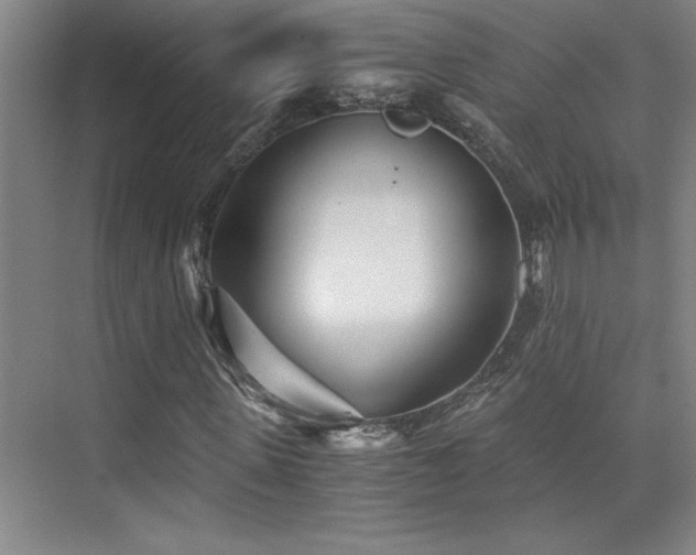 X0000073840915200608101225