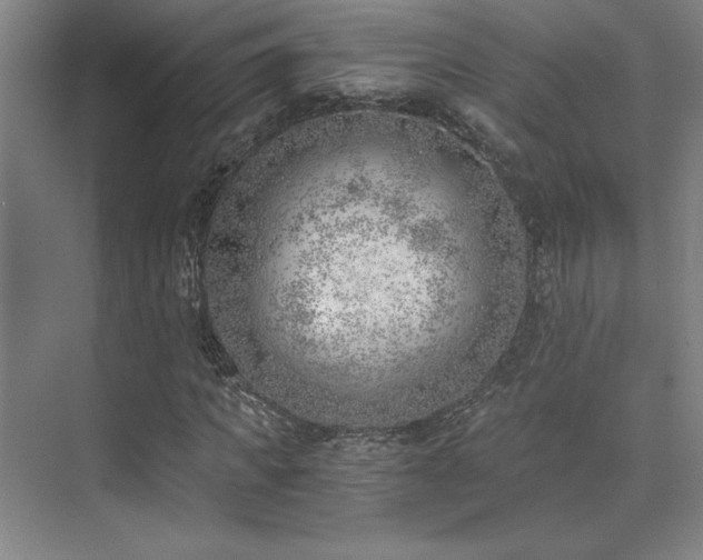 X0000073840917200608101225