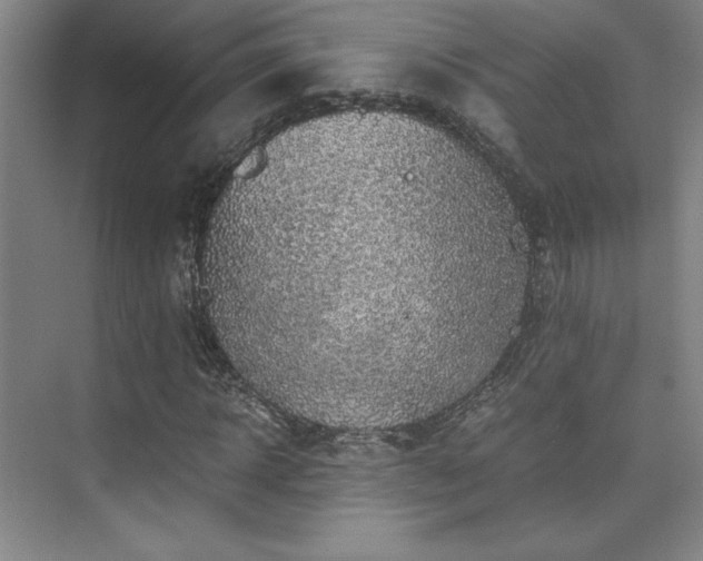 X0000073840918200608101225