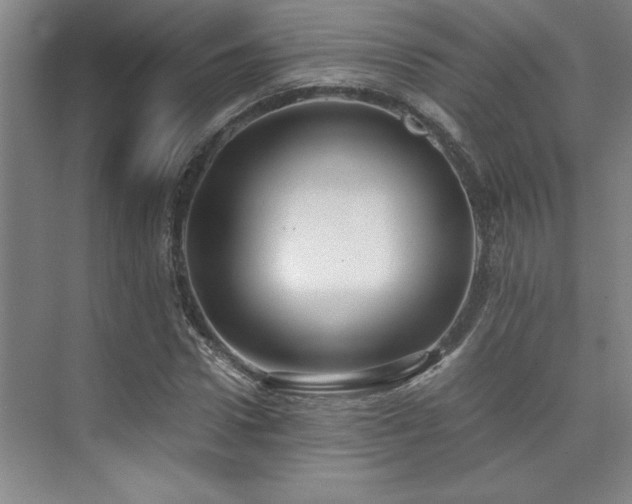 X0000073840922200608101225