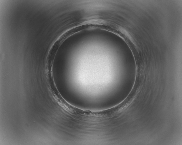 X0000073840923200608101225