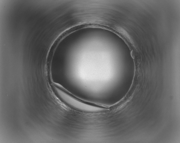 X0000073840924200608101225