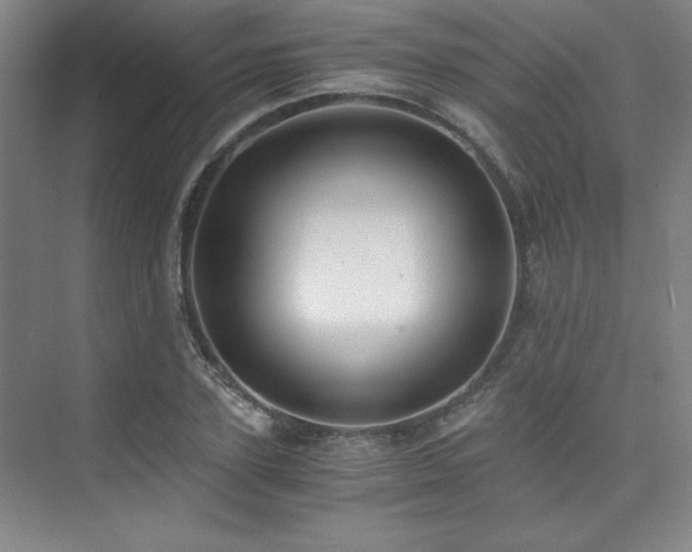 X0000073840931200608101226