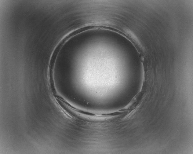 X0000073840932200608101226